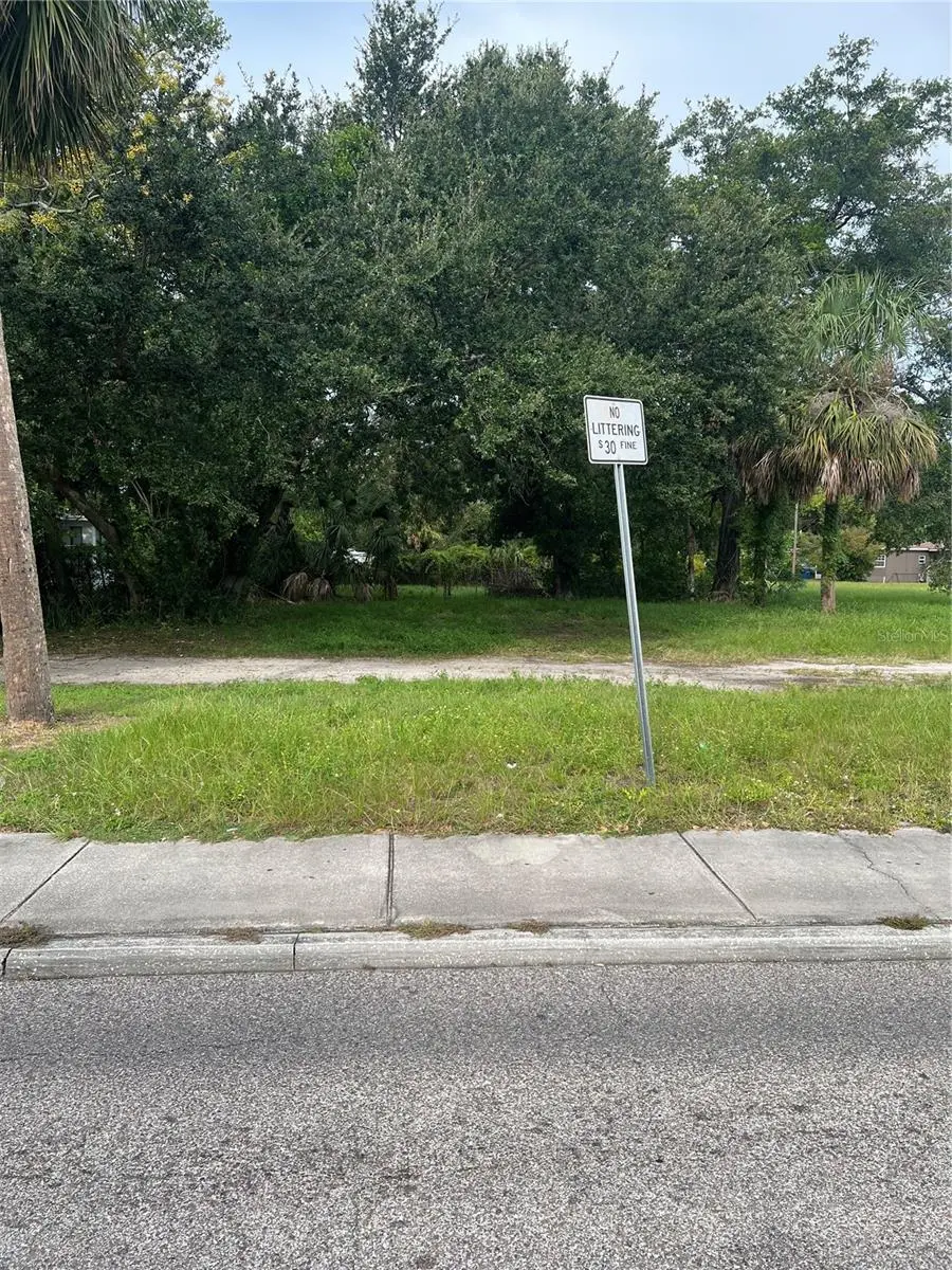 Martin Luther King Jr Avenue, FL