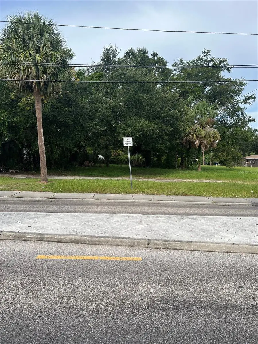 Martin Luther King Jr Avenue, FL