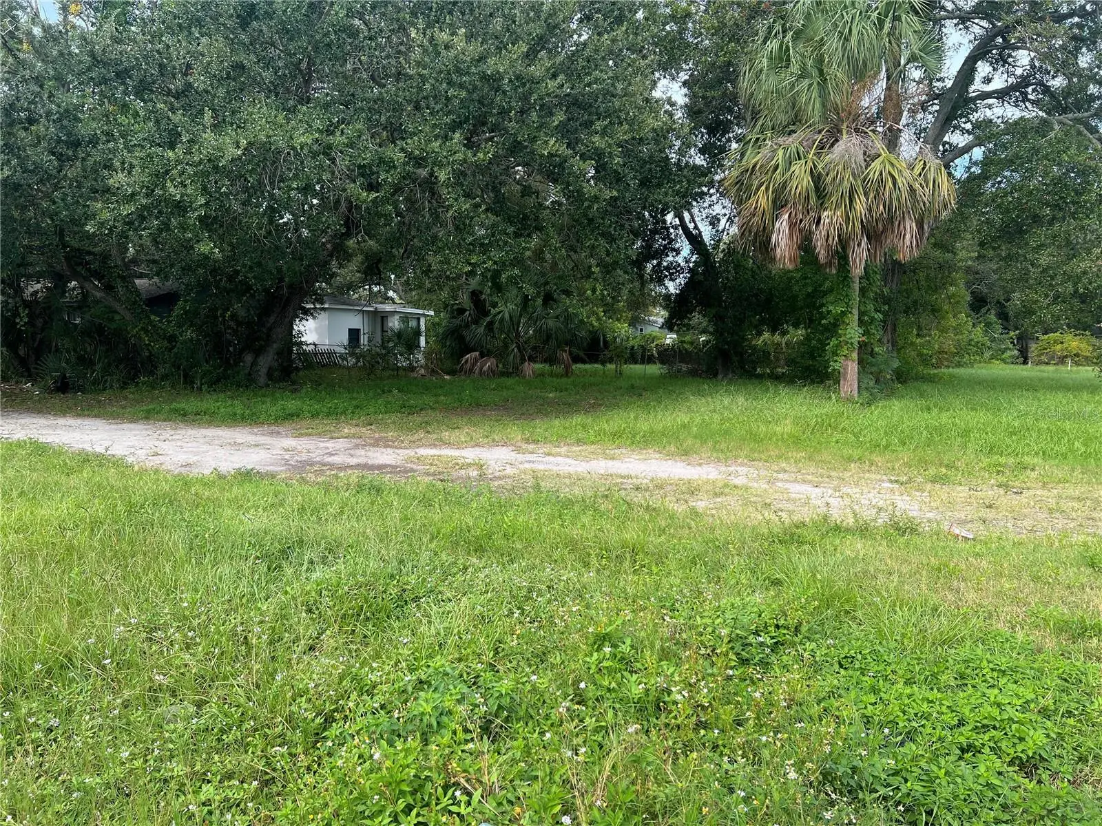 Martin Luther King Jr Avenue, FL