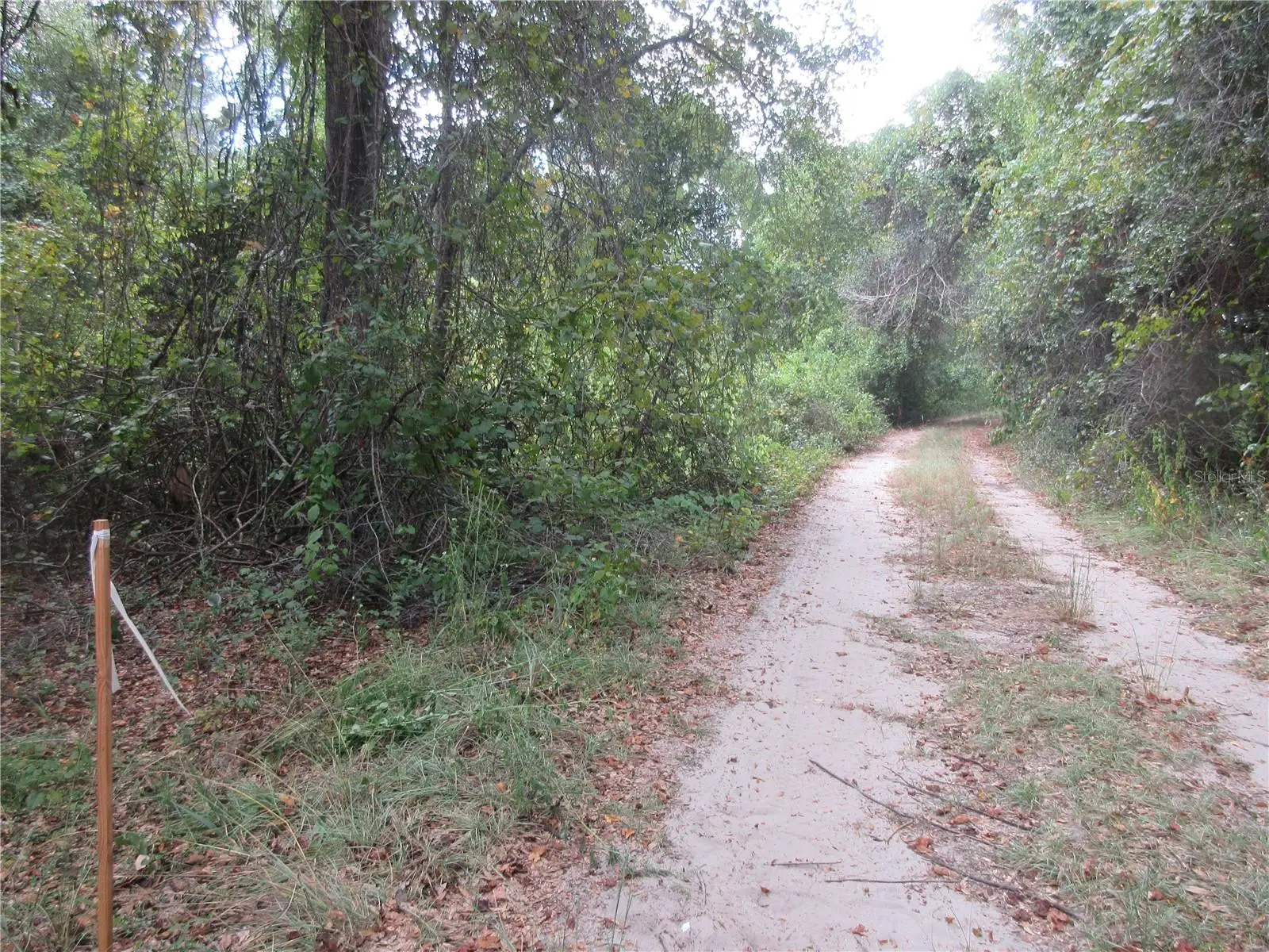 1 Ln, FL