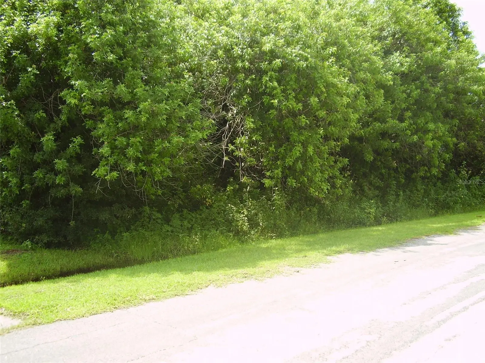 321 Caen Court, FL