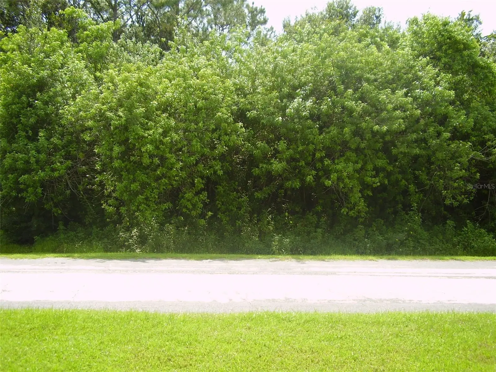 321 Caen Court, FL