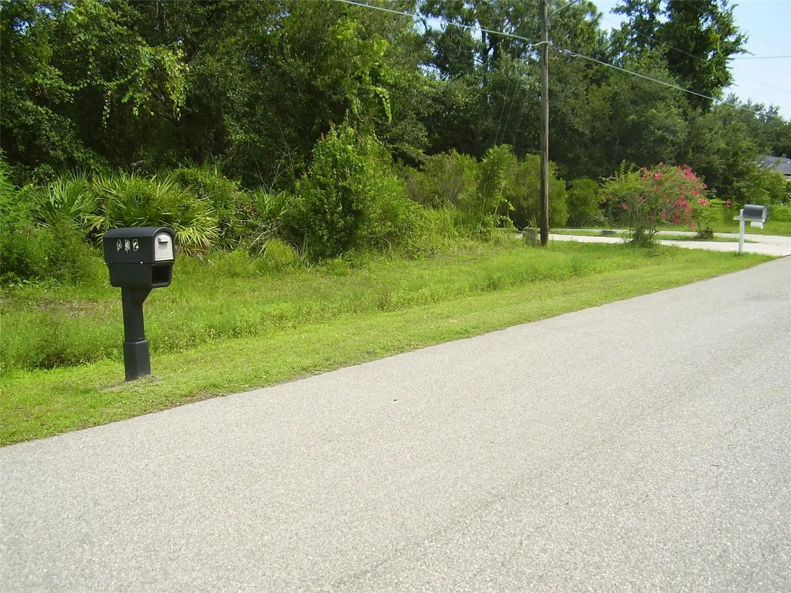 431 Dove Drive, FL