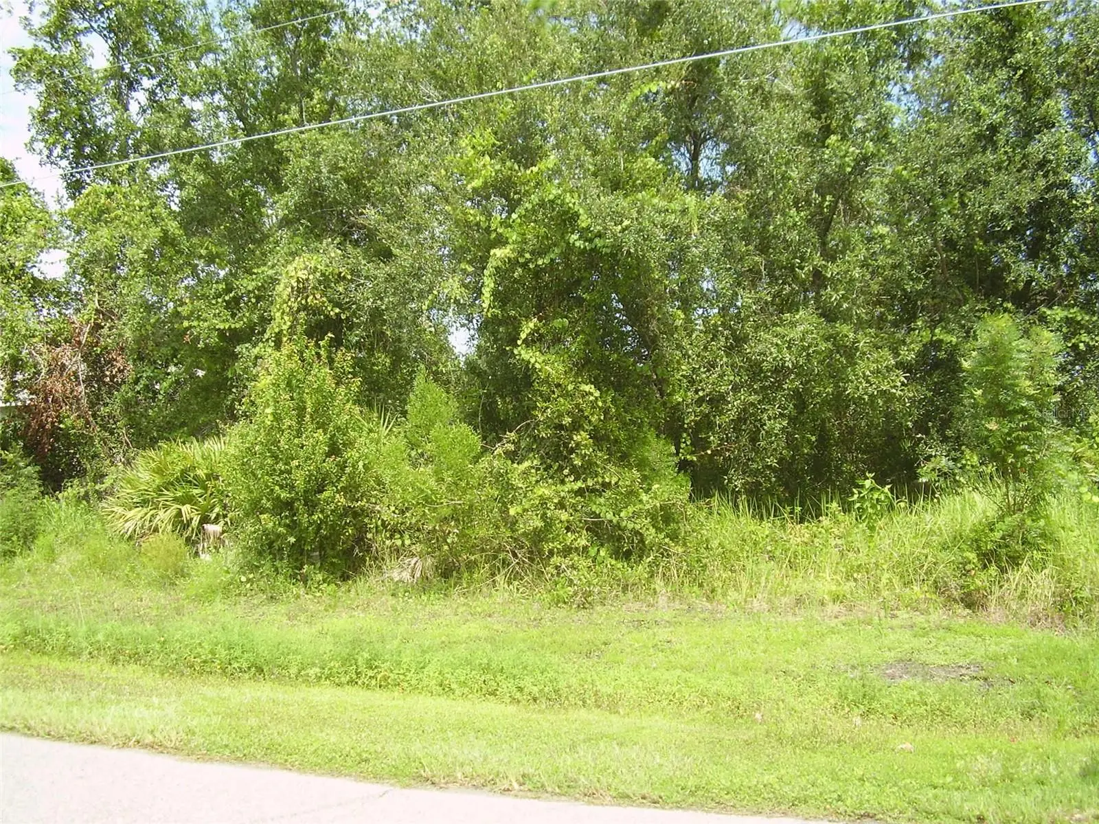 431 Dove Drive, FL