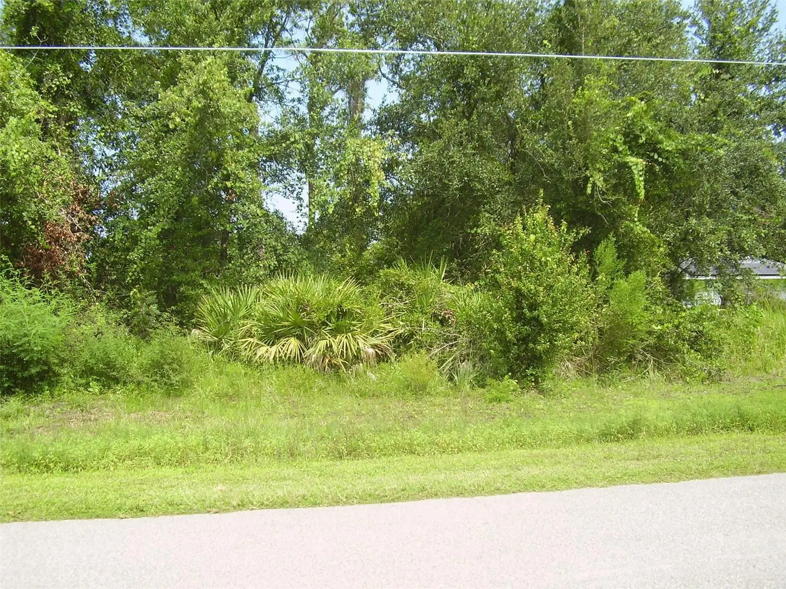 431 Dove Drive, FL