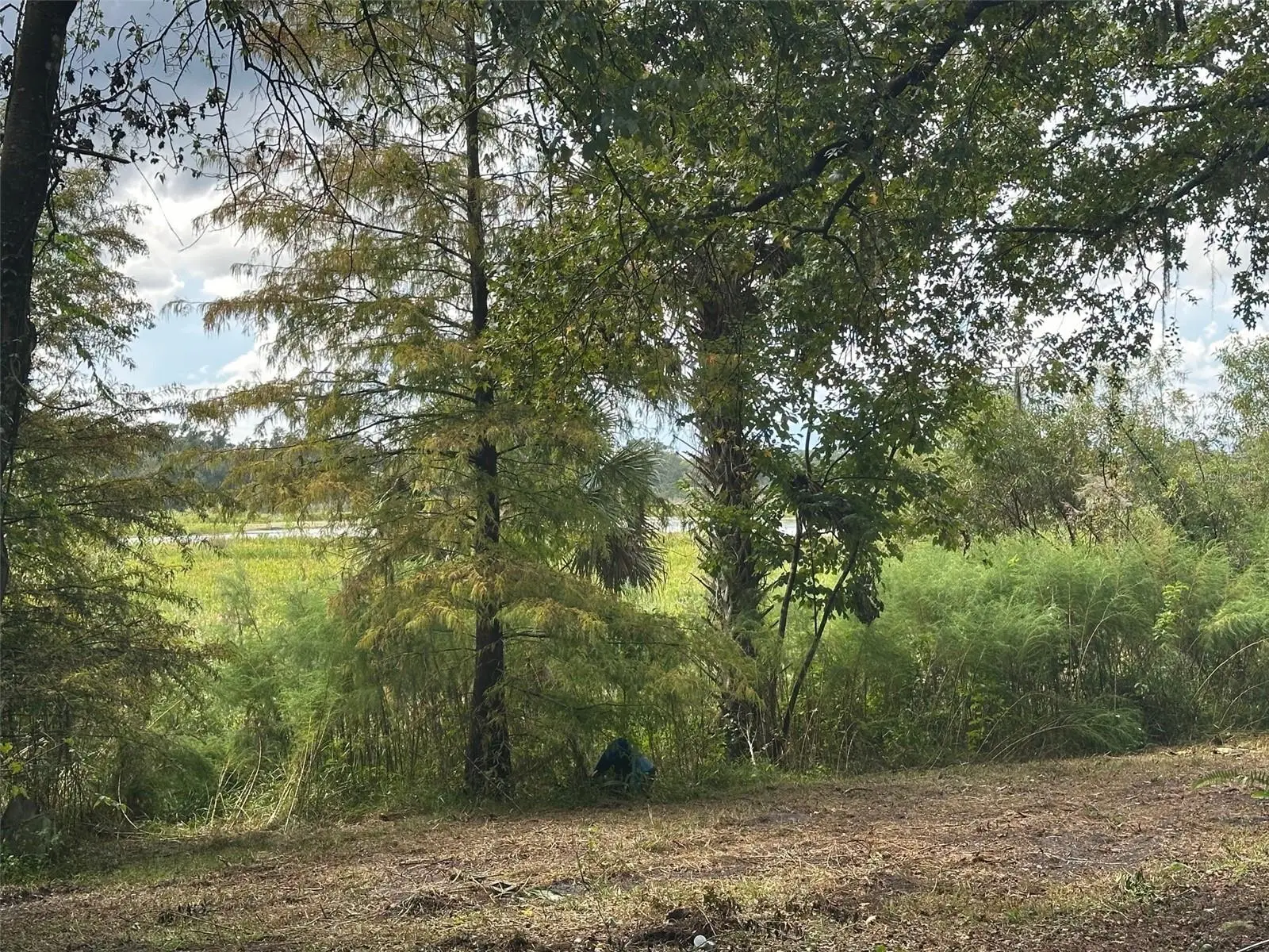 6661 Turner Camp Road, FL