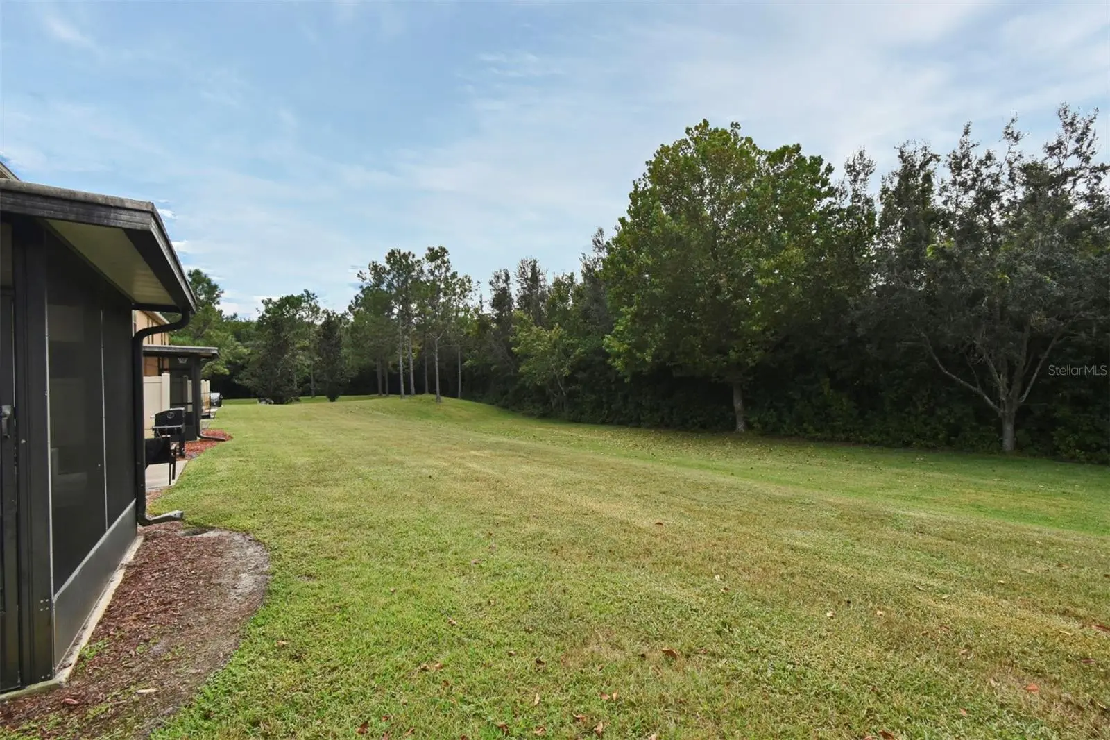 1524 Downy Birch Lane, FL