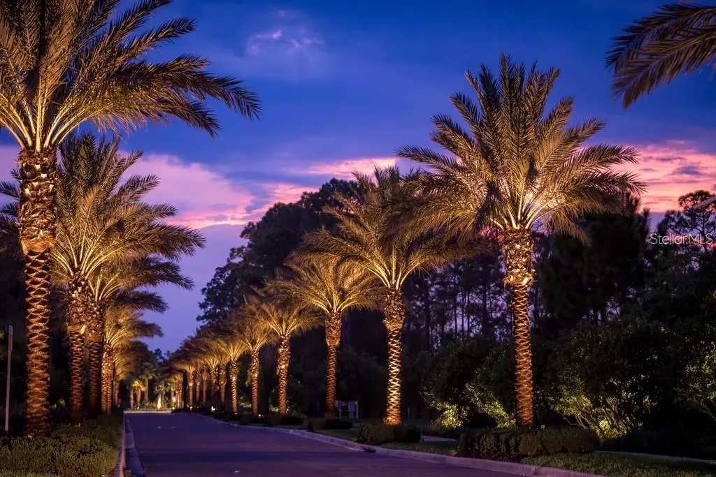 14501 Grove Resort Avenue, FL