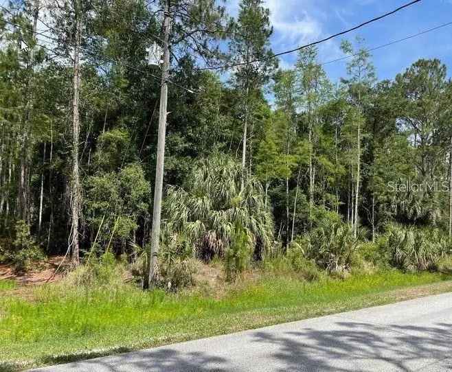 Thunderhead Street, FL