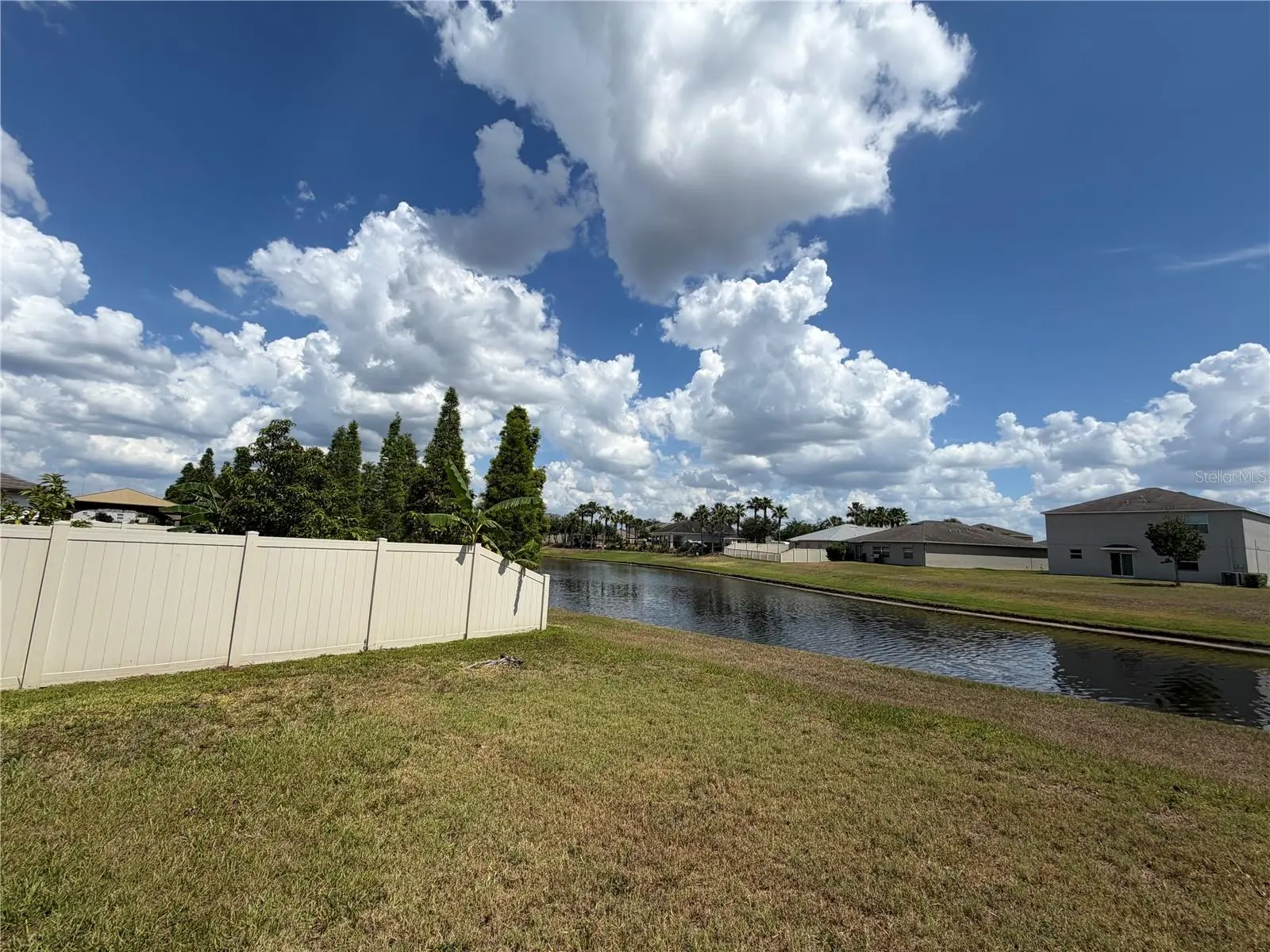 10013 Crested Fringe Drive, FL