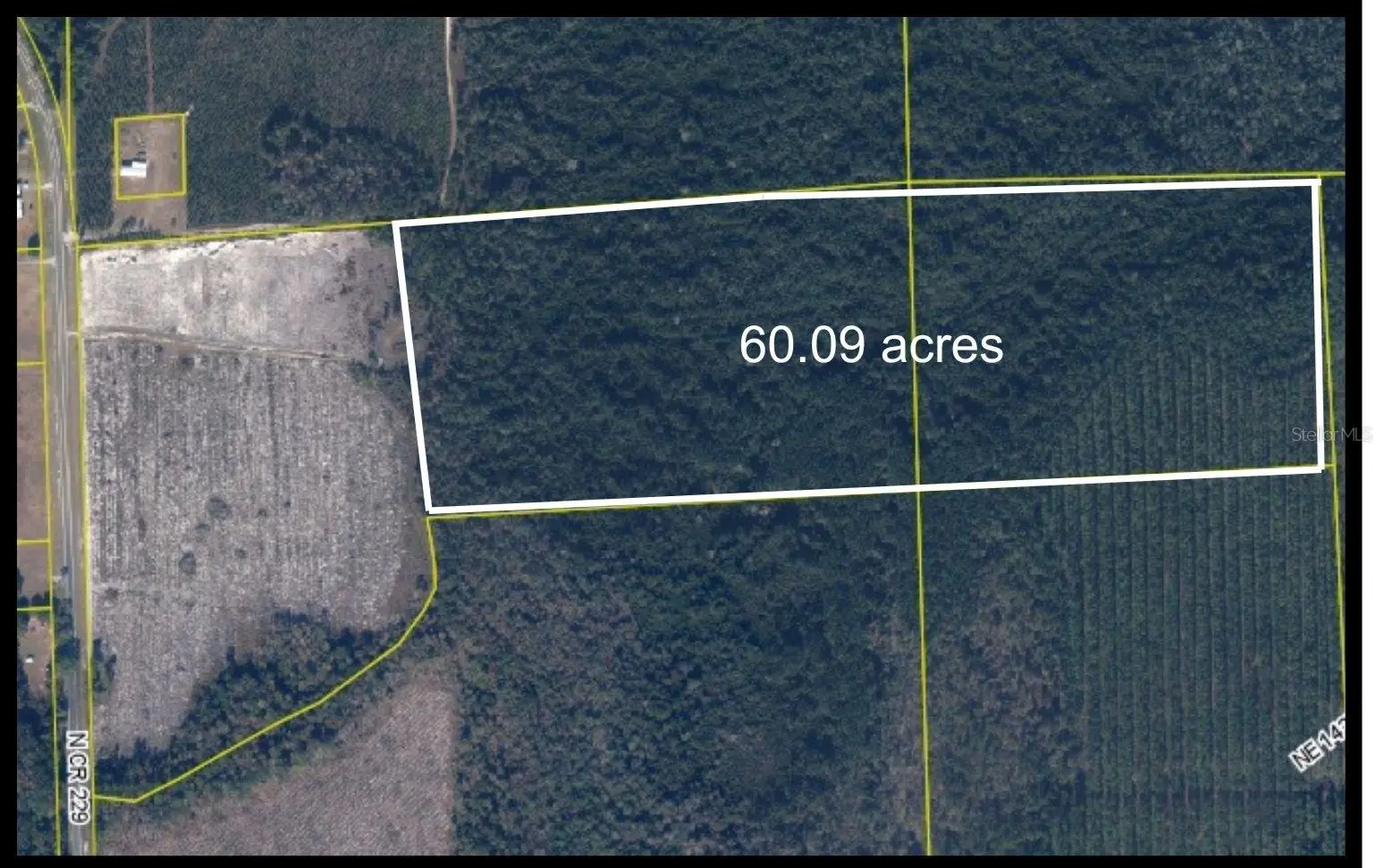 Tbd N County Rd 229, FL