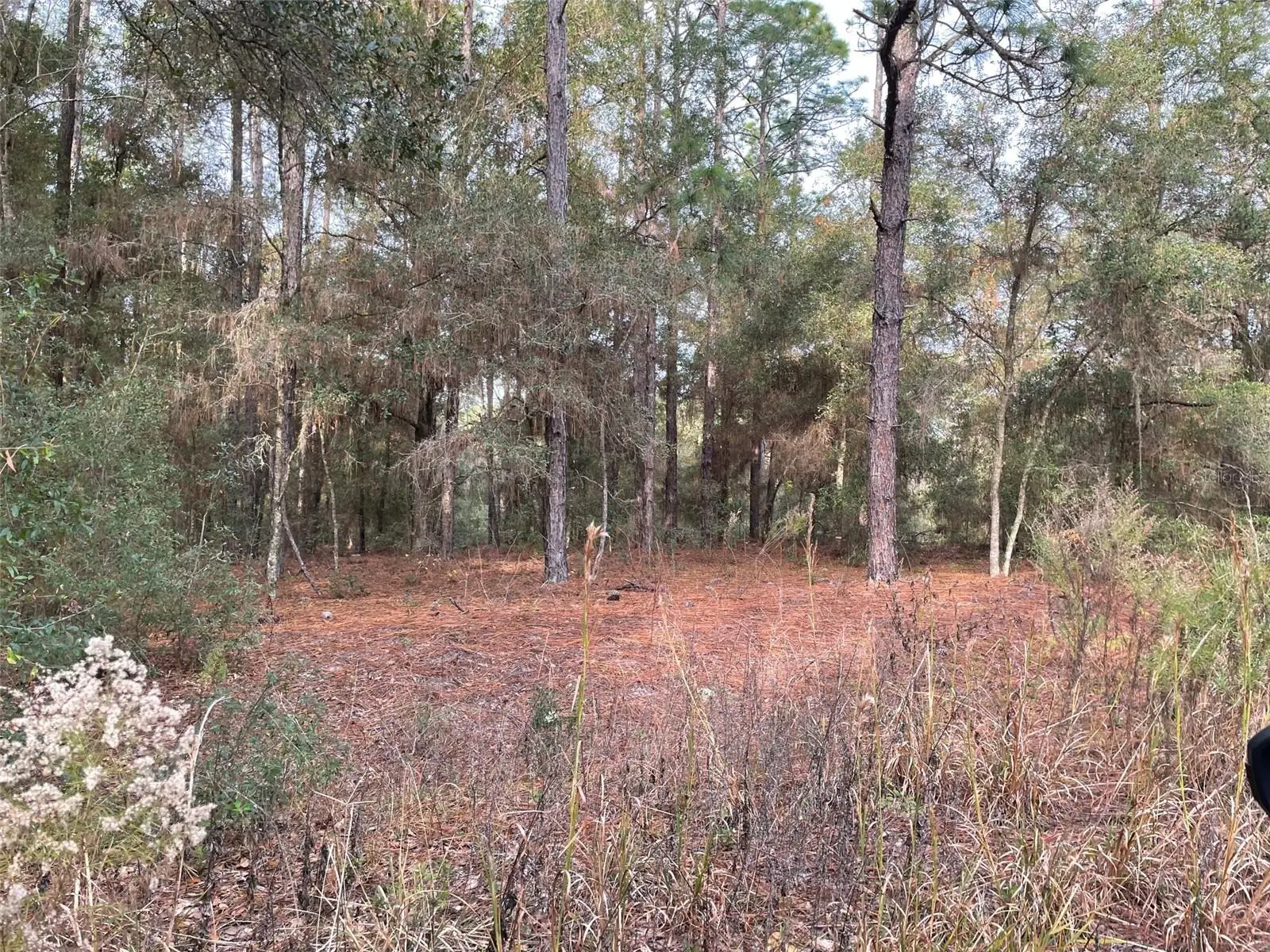 Lot 9 152nd Avenue, FL