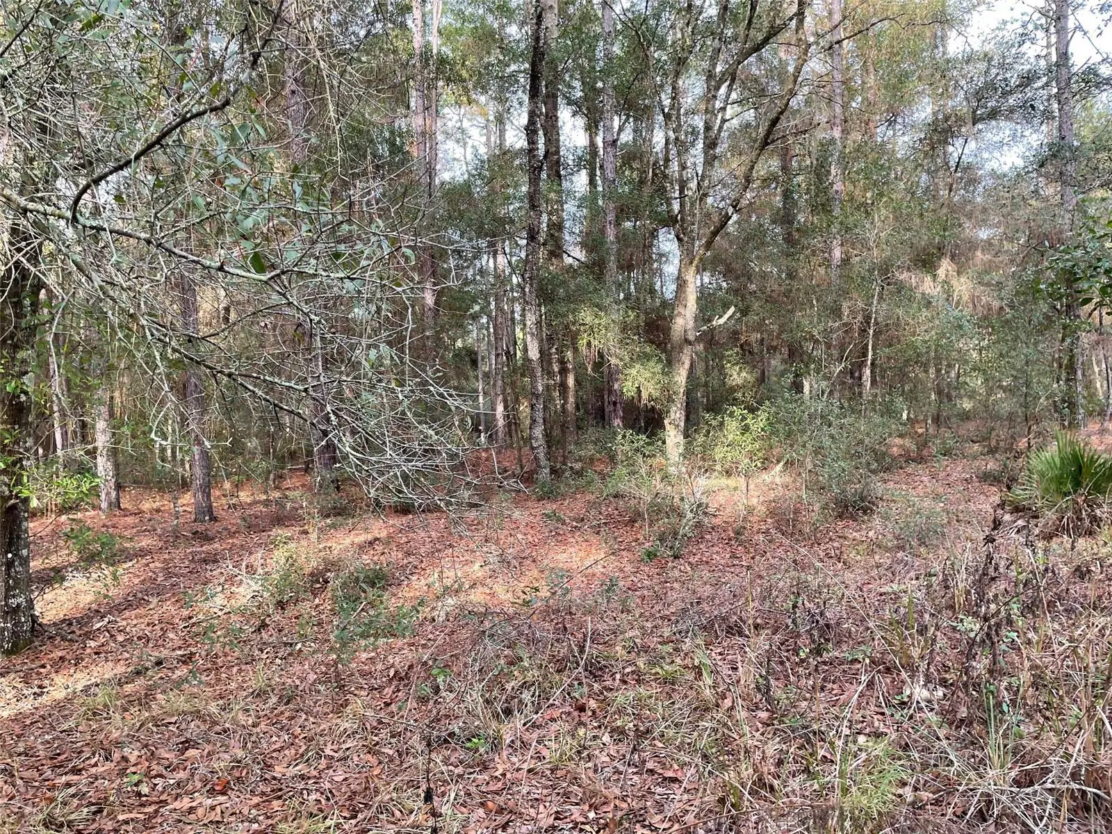 Lot 9 152nd Avenue, FL