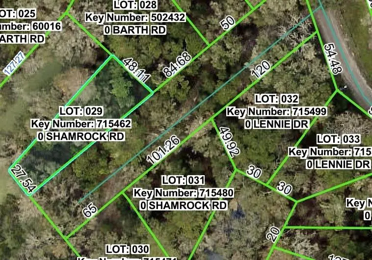 Shamrock Road, FL