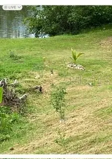 1 Montecarlo, PR