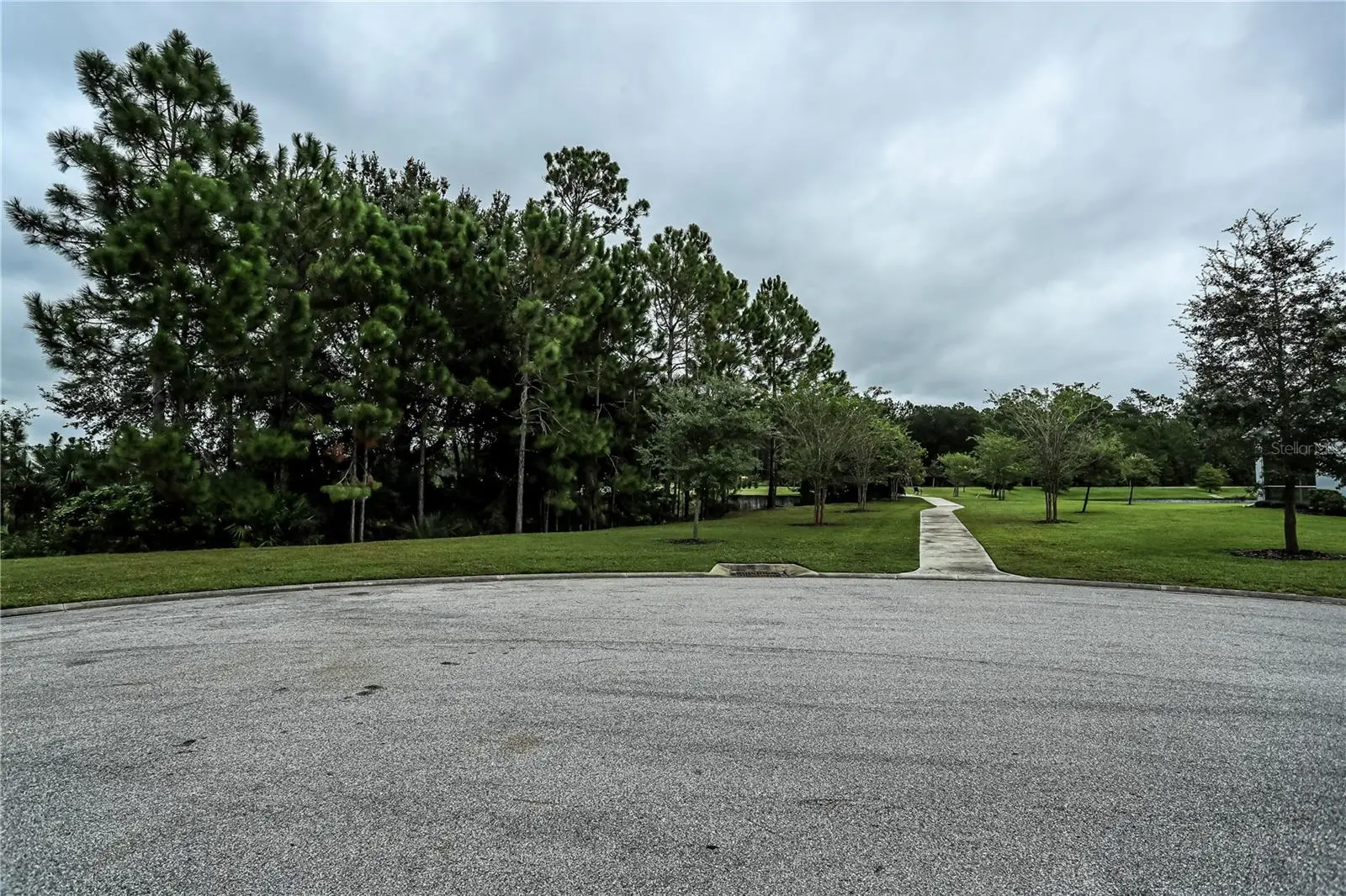 875 Pinewood Drive, FL