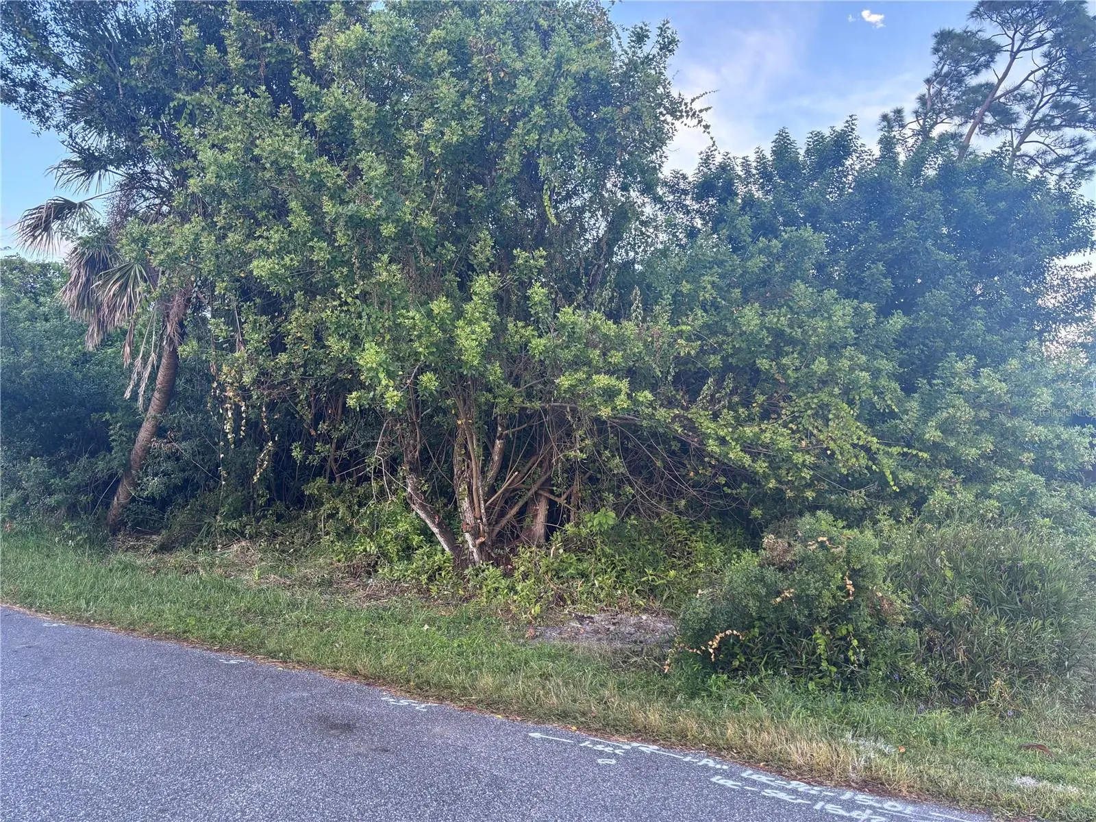 773 Red Bay Street, FL