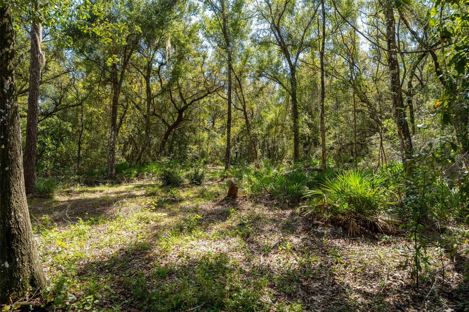 11420 Steamboat Drive, FL