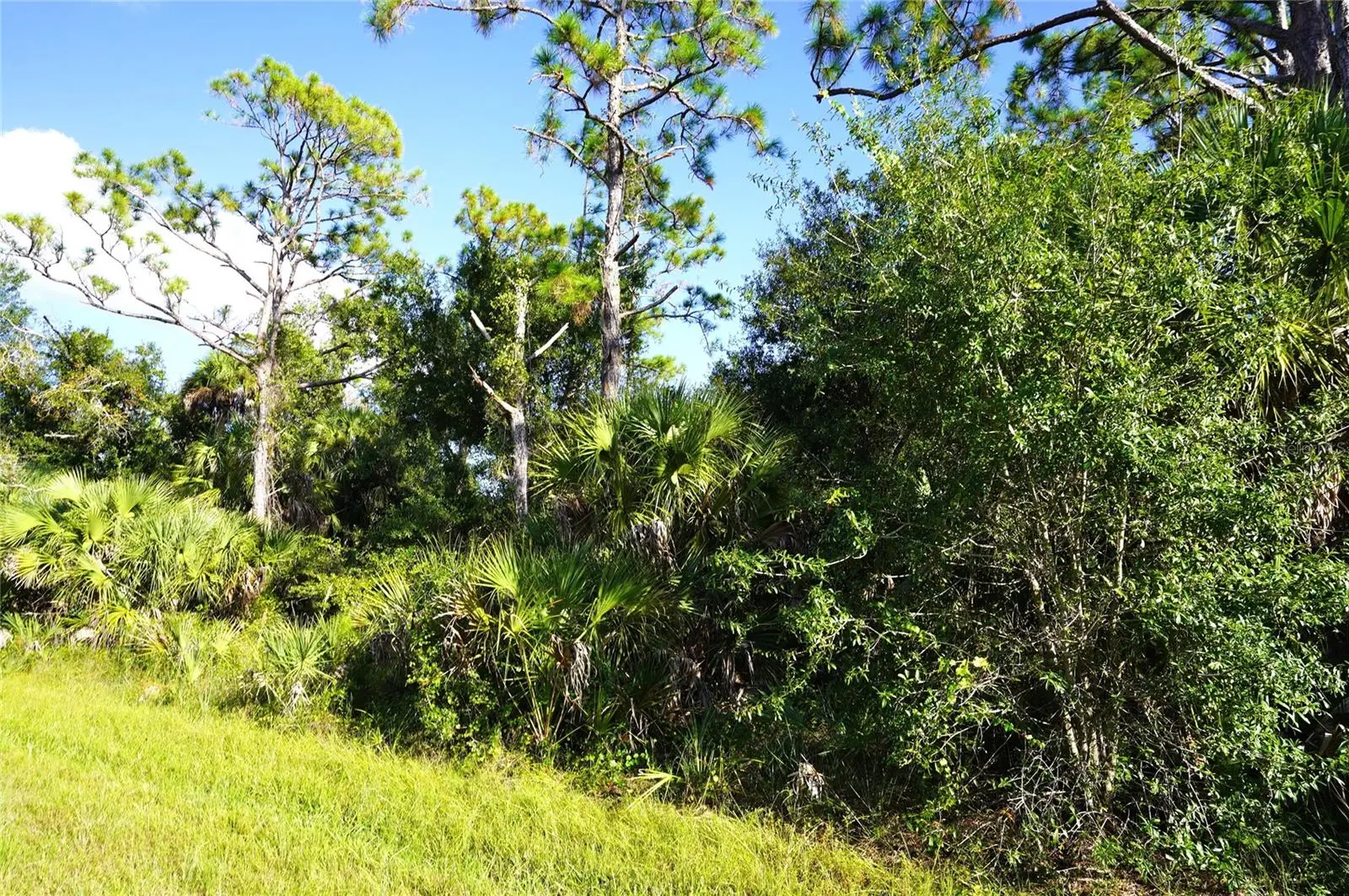 1294 Birch Terrace, FL