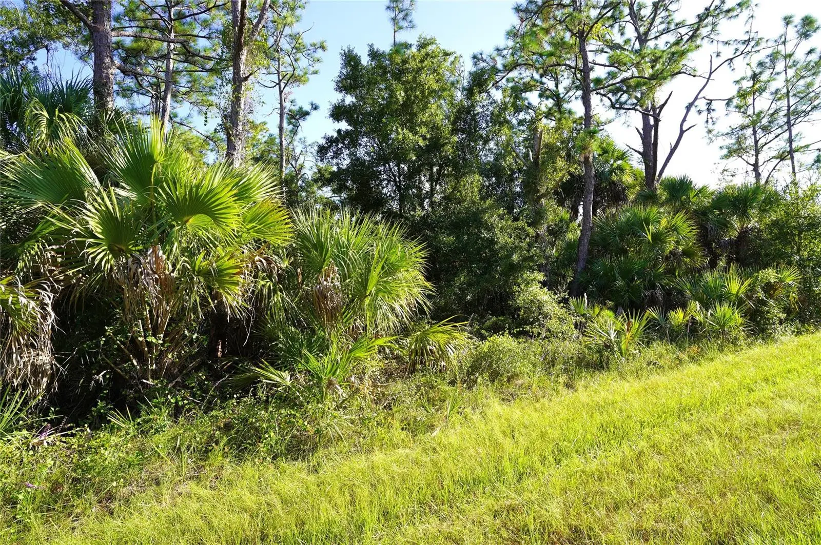 1294 Birch Terrace, FL