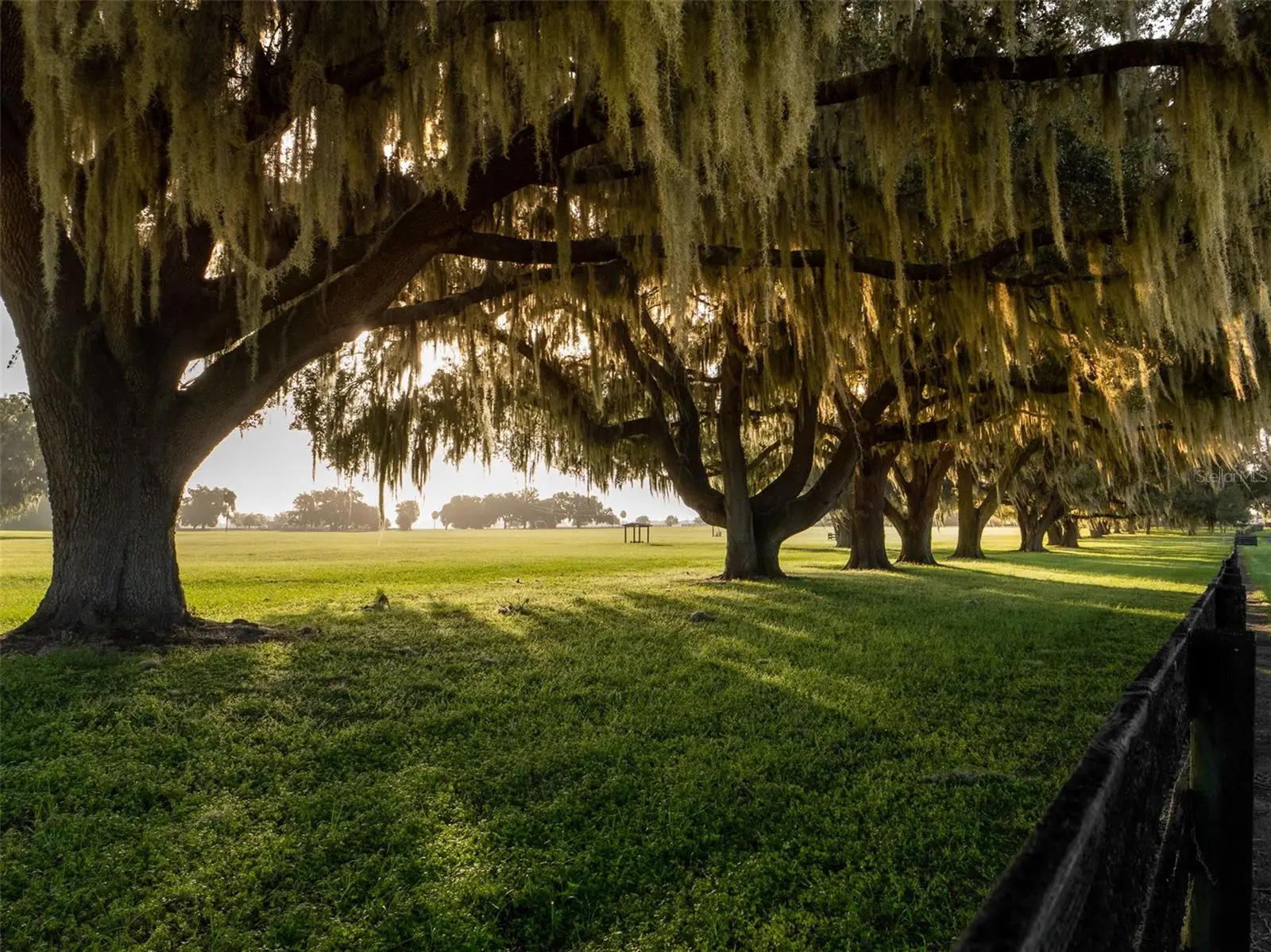 3682 Highway 318, FL