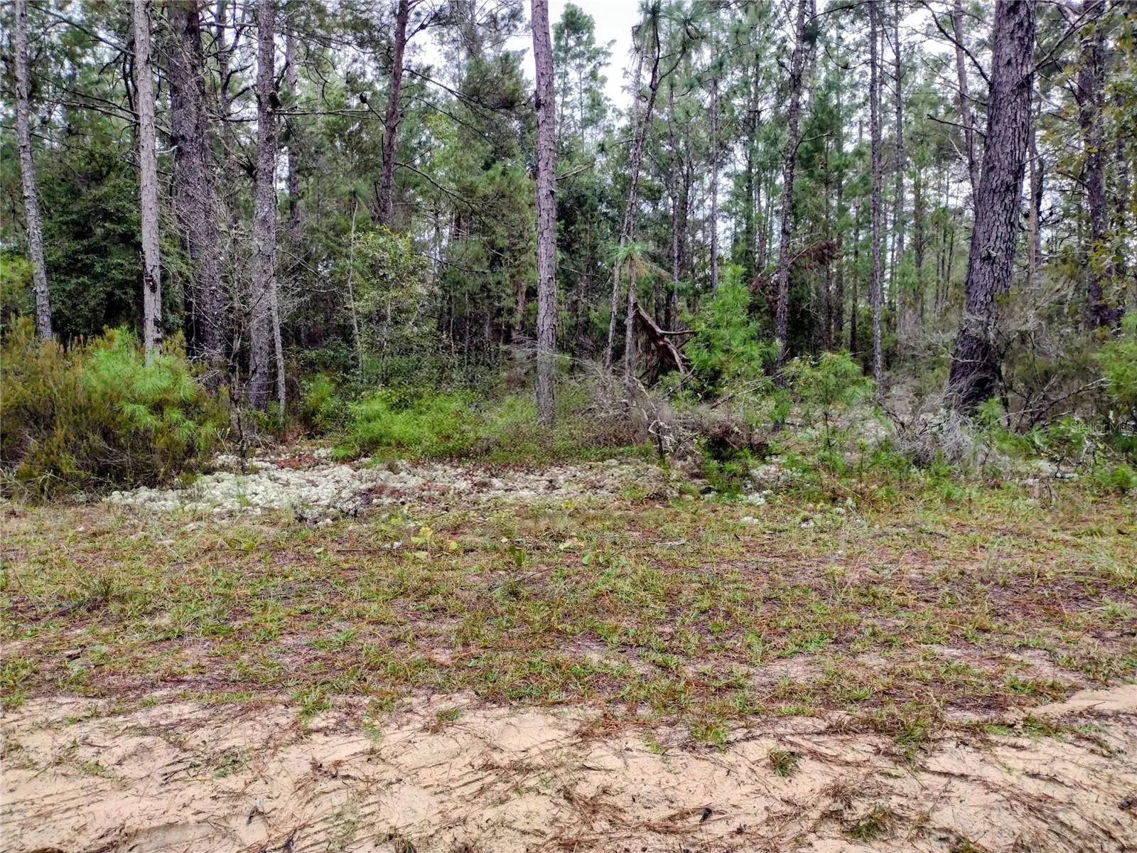 165 7th Way, FL