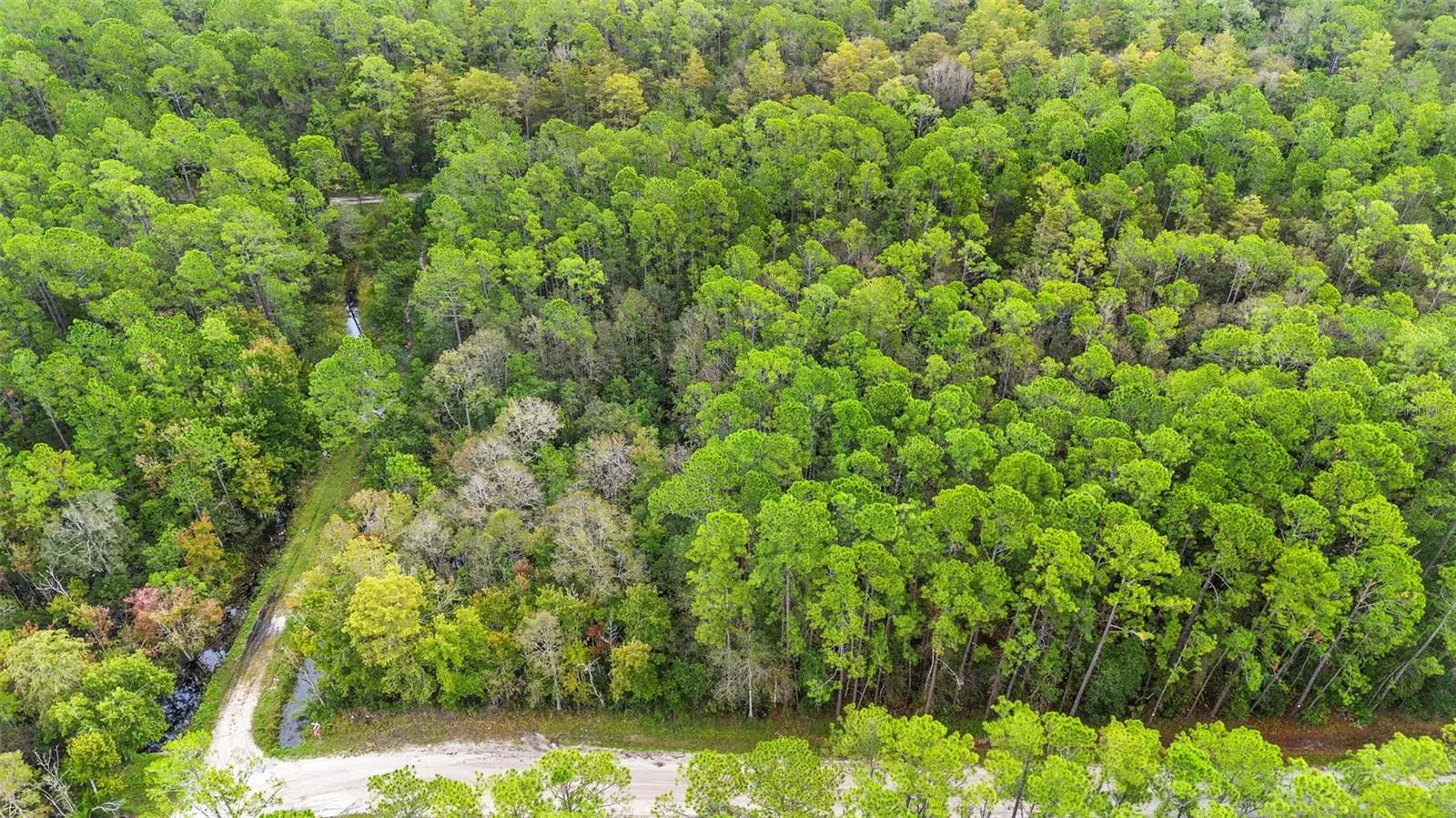East Parkway, FL