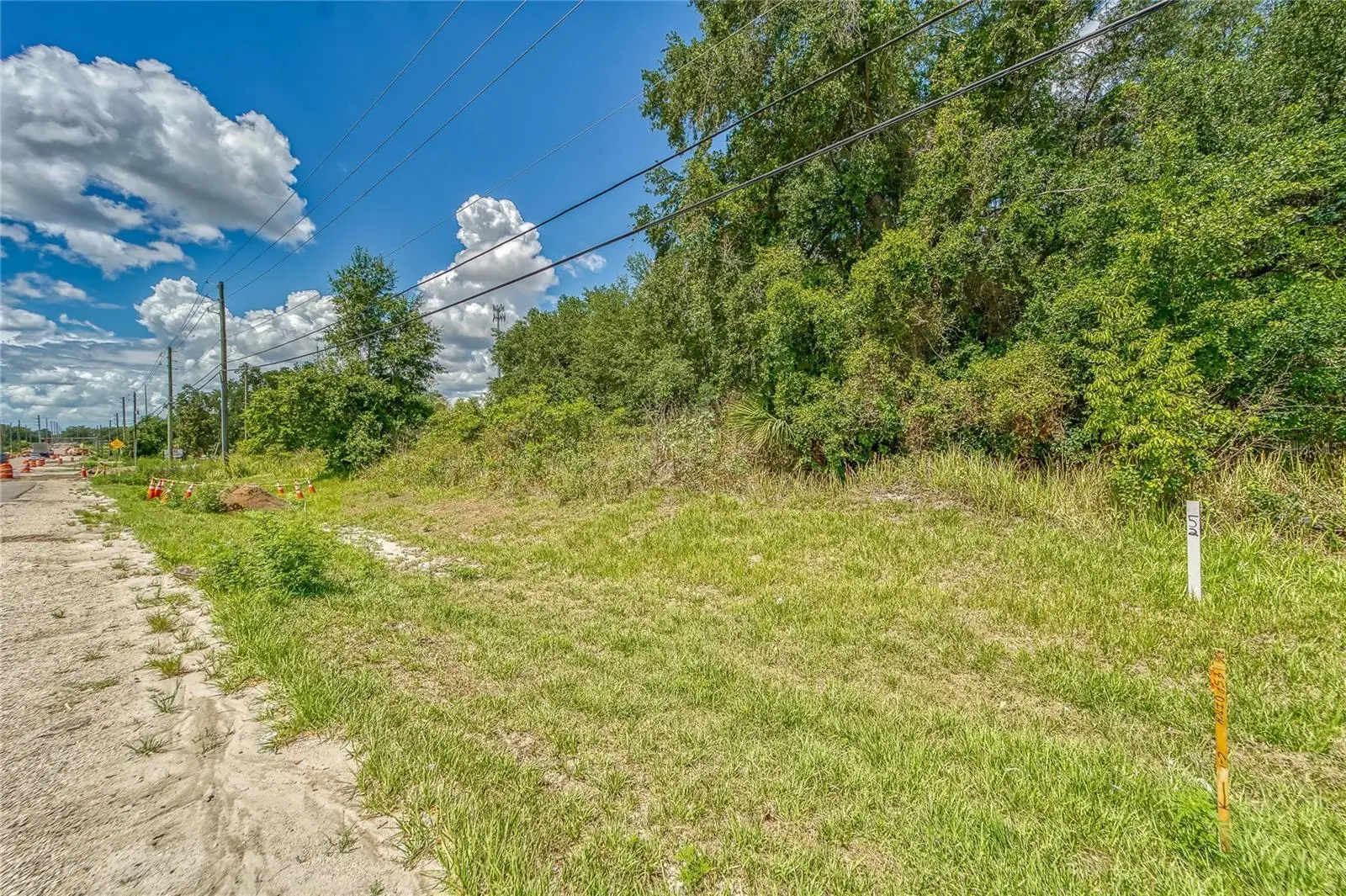 Turkey Creek Road, FL
