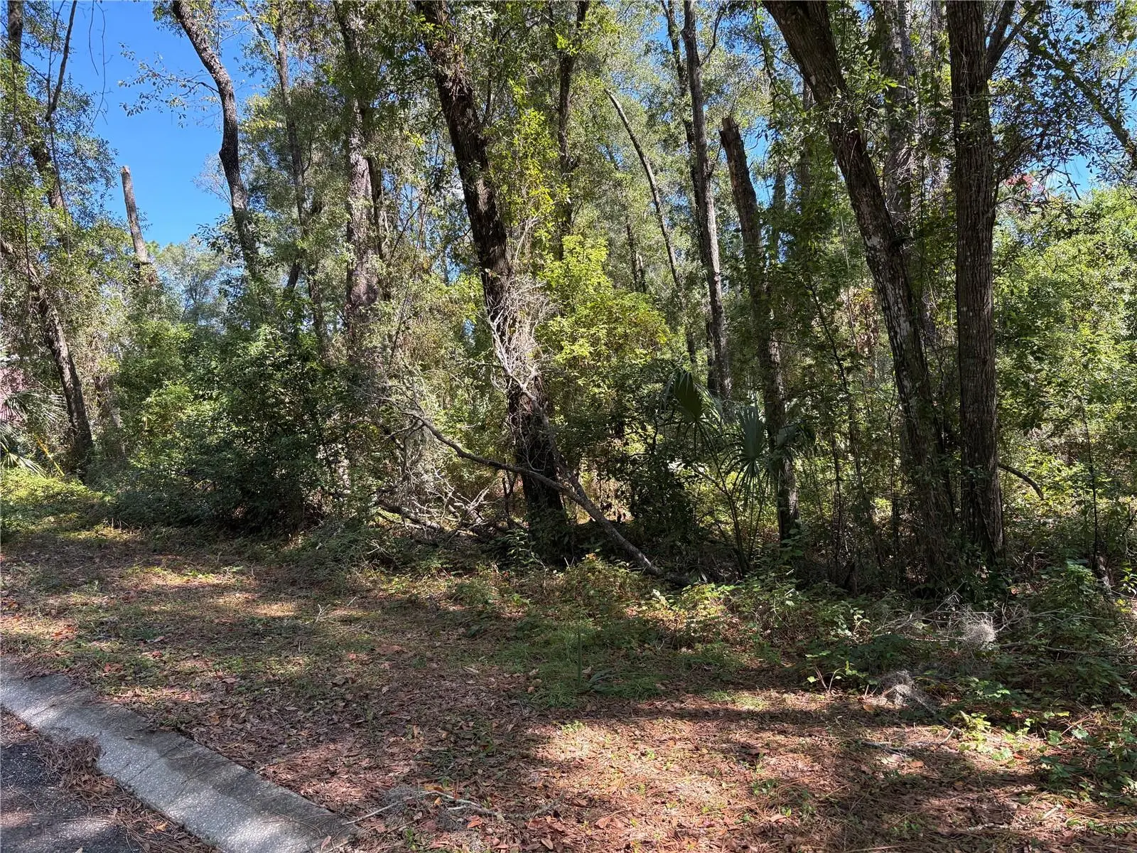 1228 Clover Terrace, FL