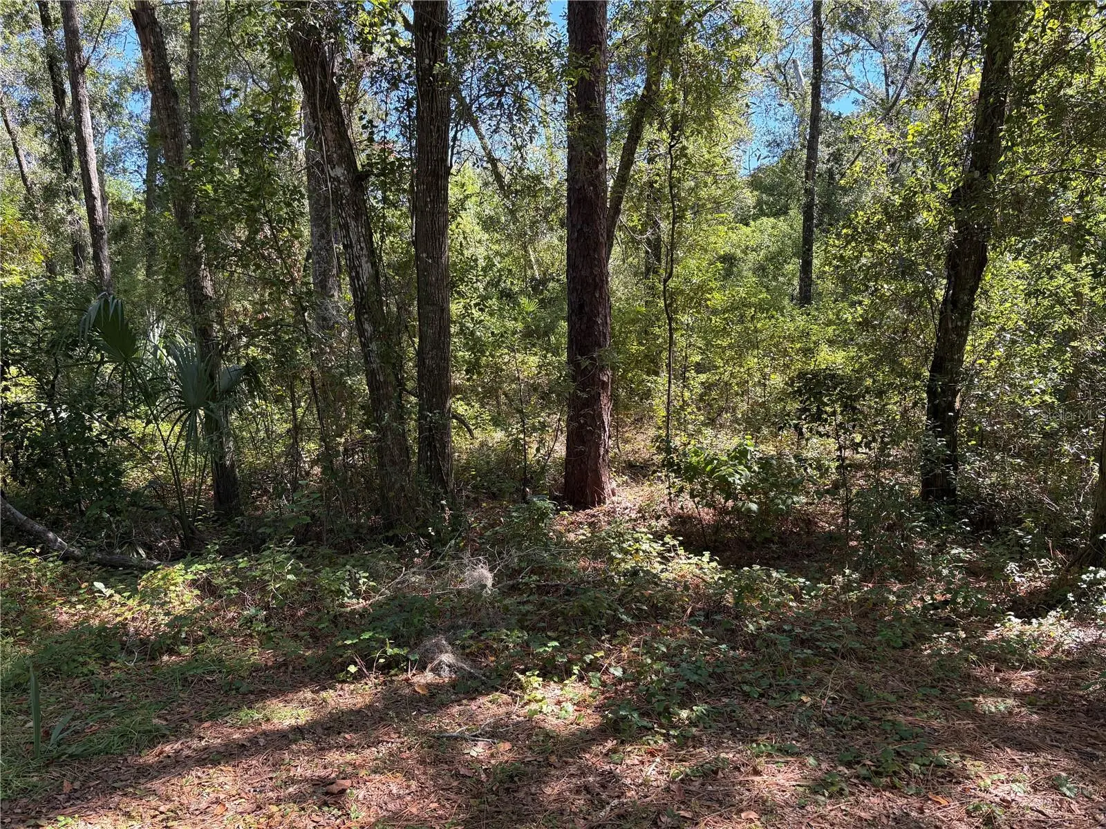 1222 Clover Terrace, FL