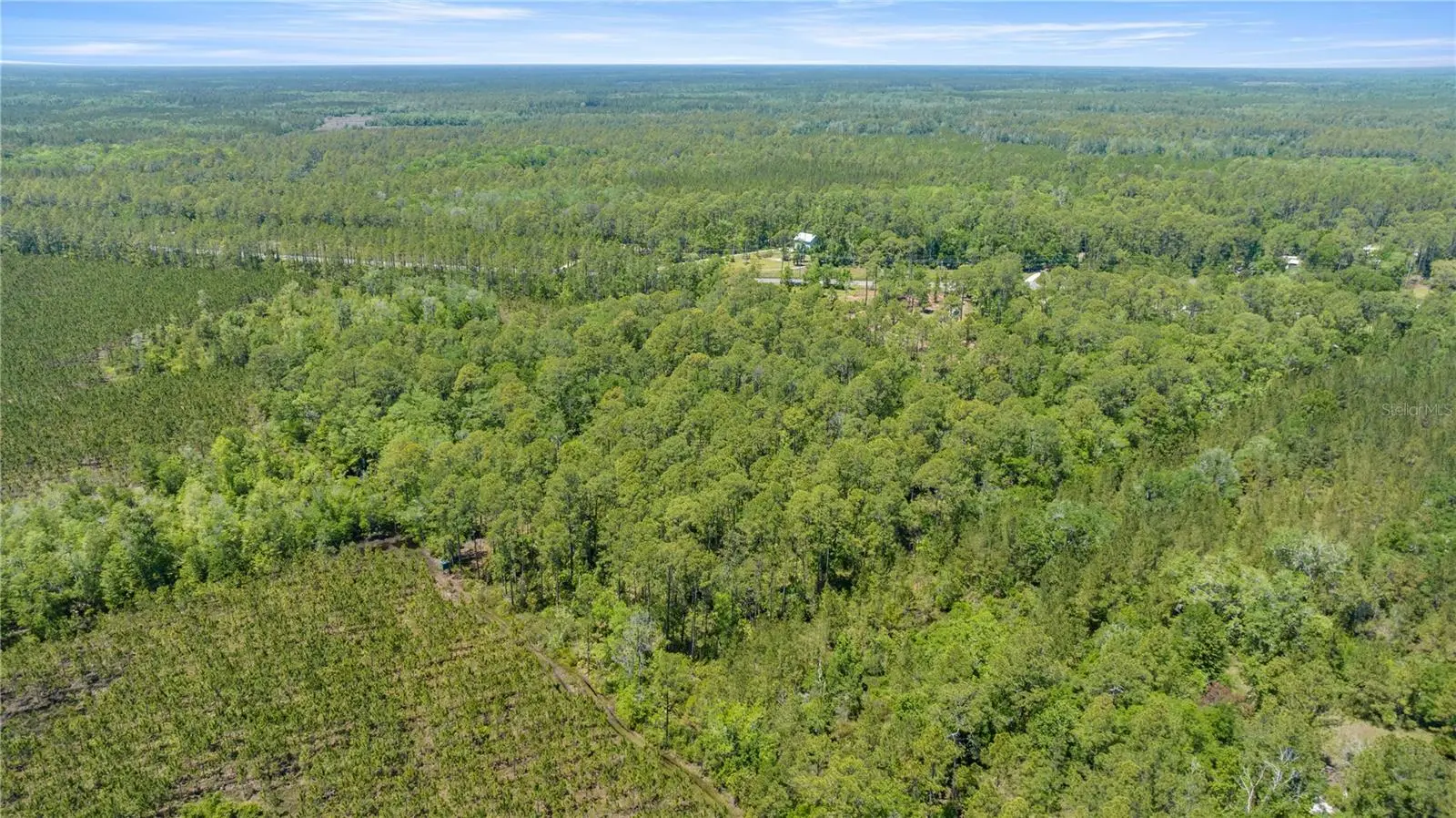 1351 State Road 24, FL