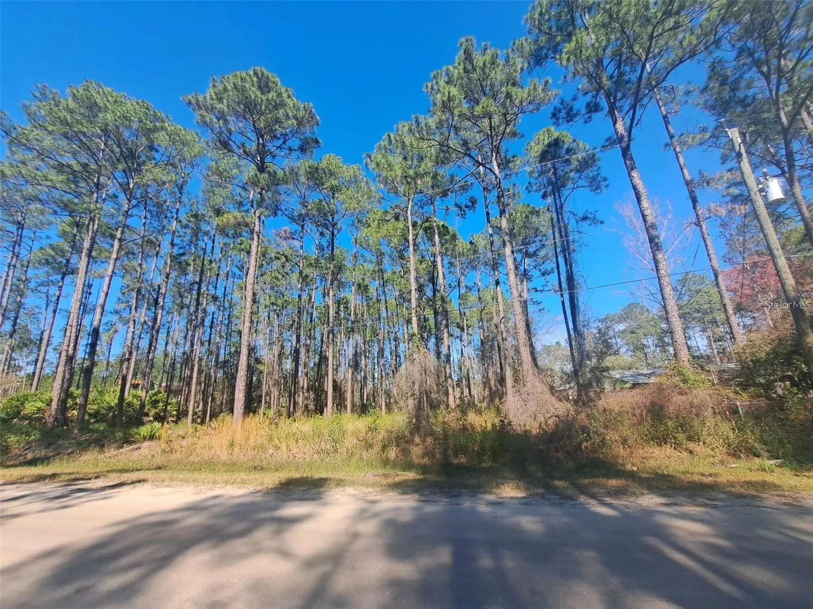 5146 Lime Avenue, FL