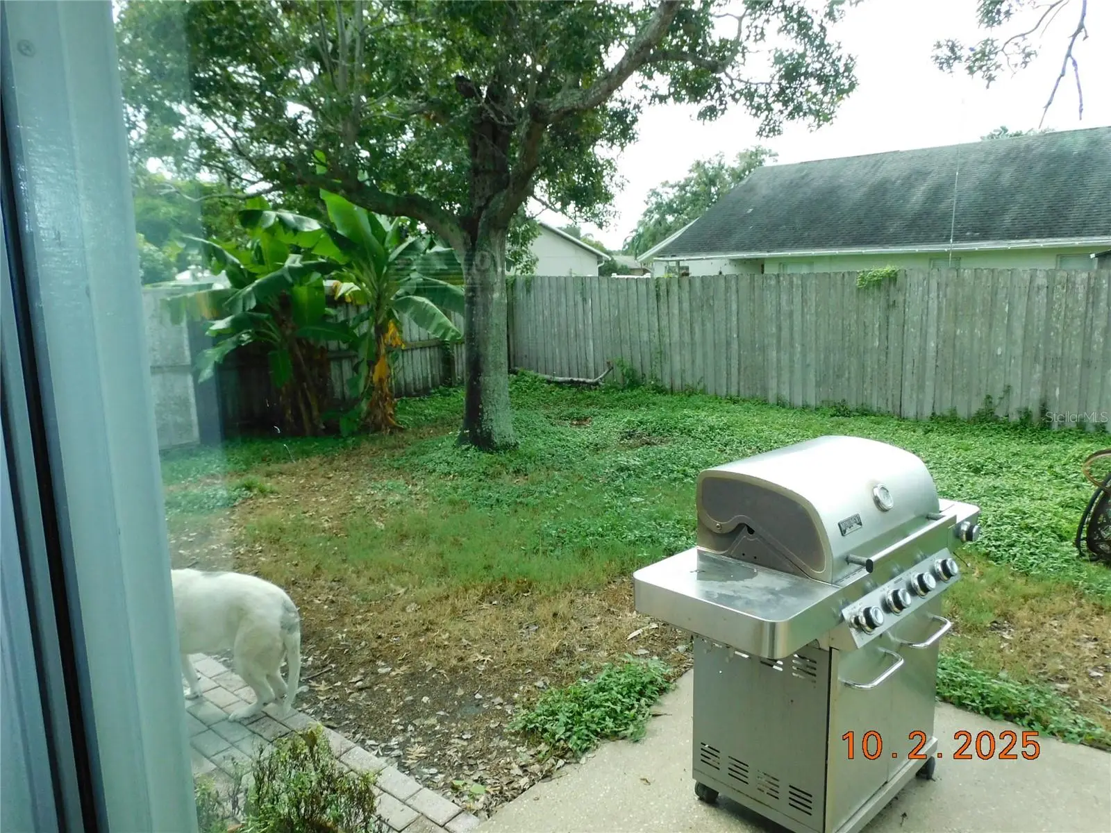 2542 Camphorwood Circle, FL
