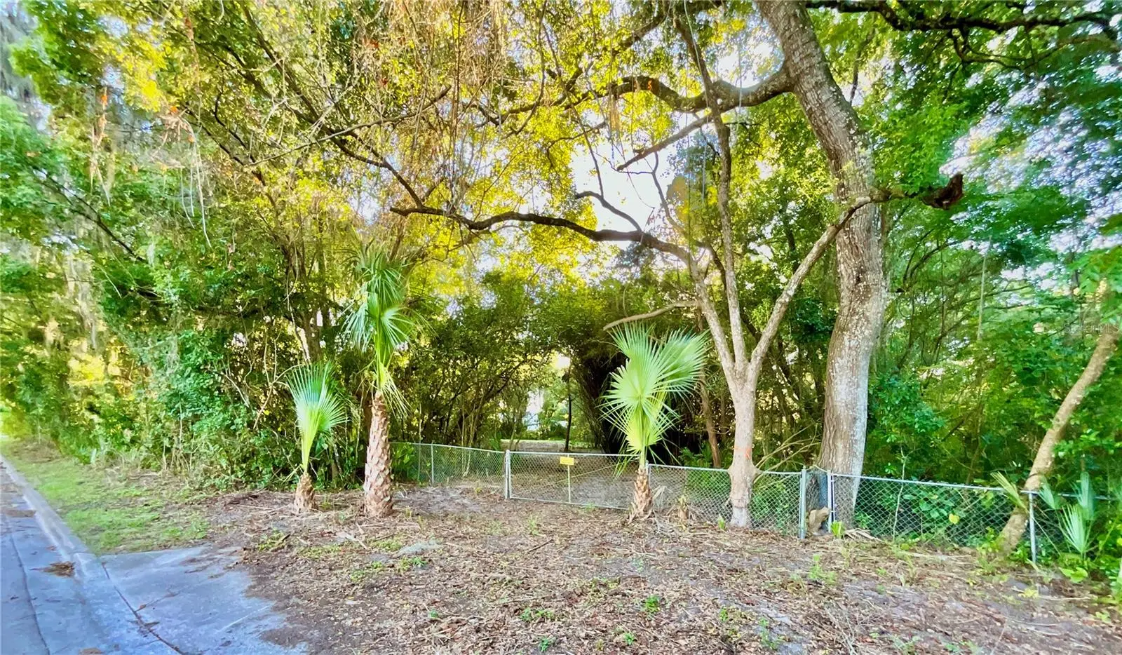 Trout Street, FL