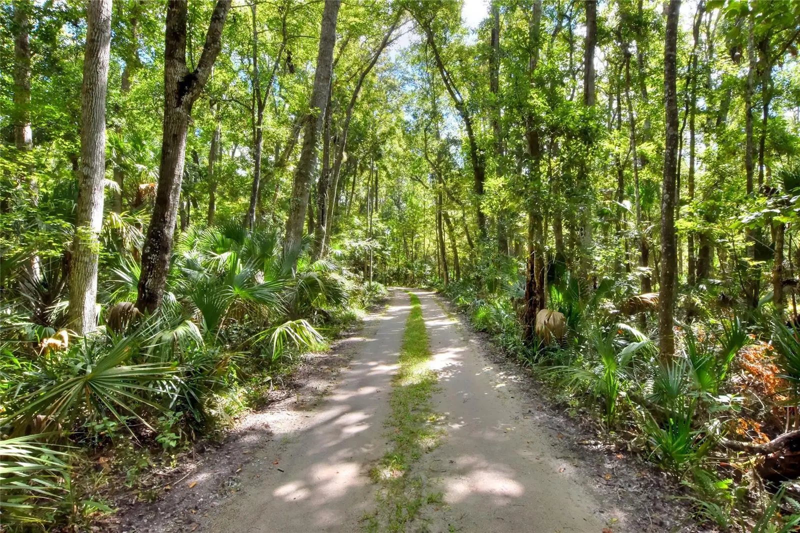 Pine Island Drive, FL