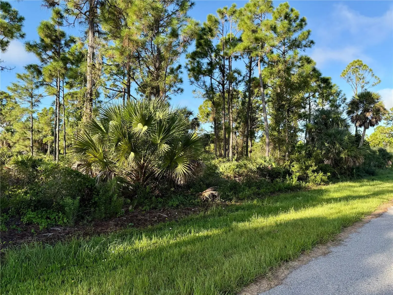 26350 Eager Road, FL