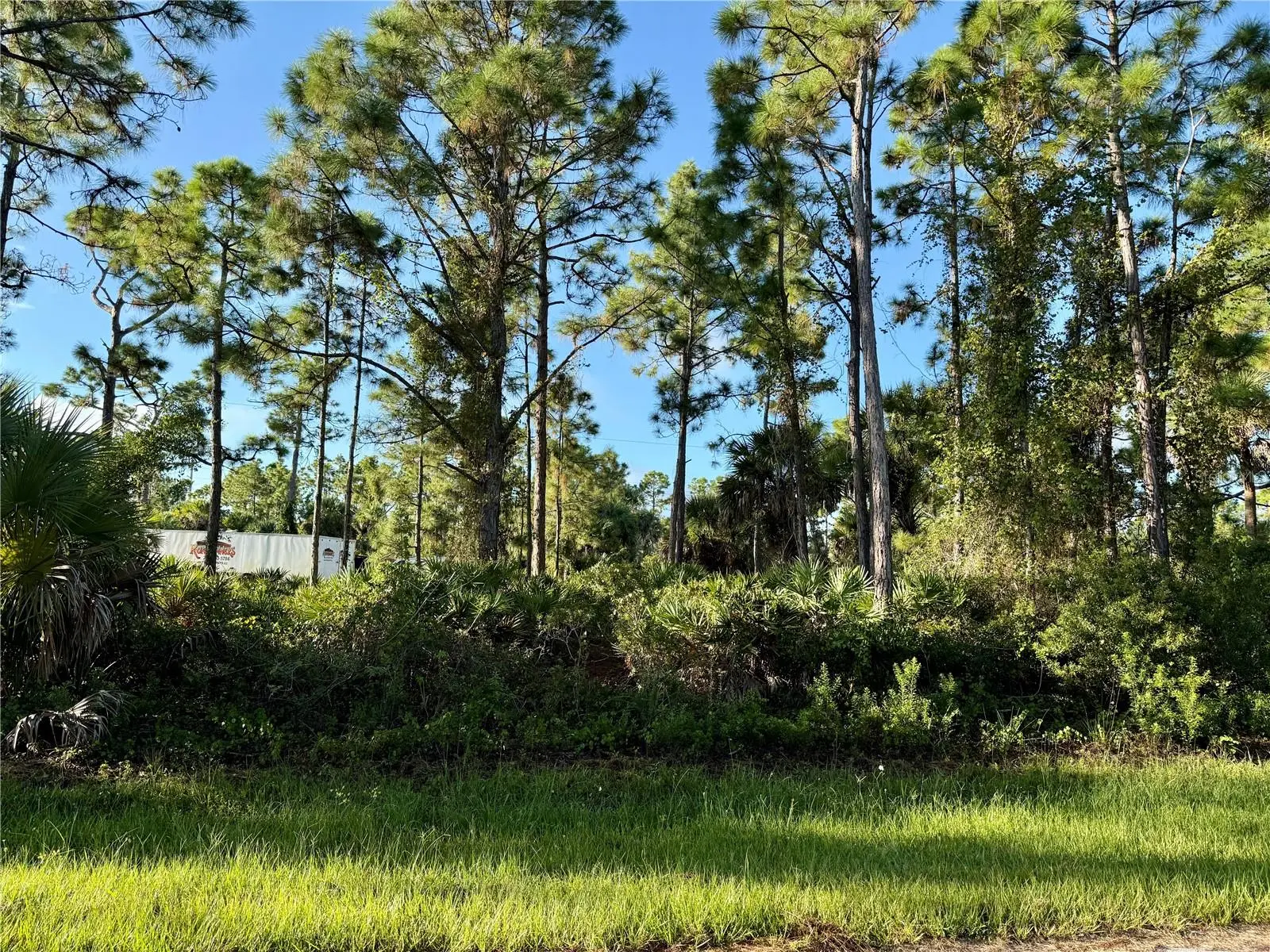 26350 Eager Road, FL