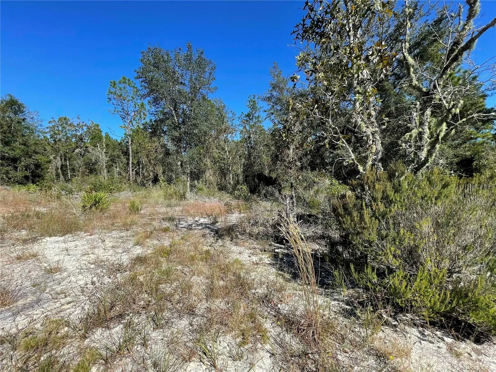 Tbd Highway 27 Alt, FL