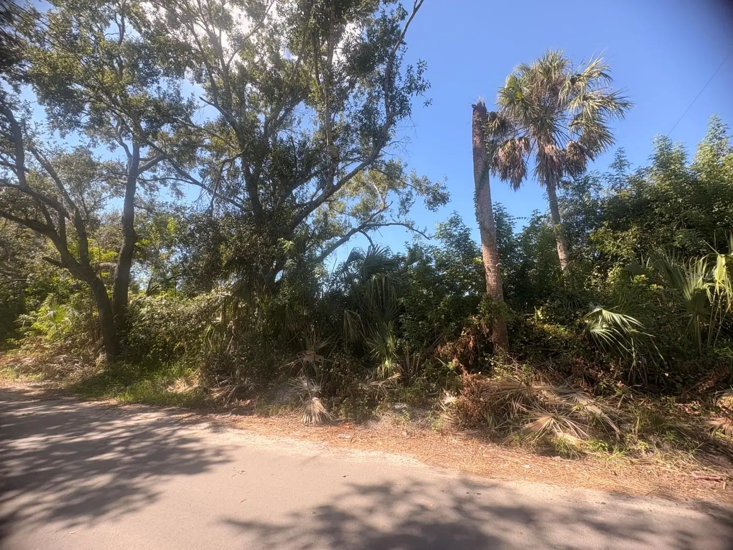 2601 Goldwyn Drive, FL