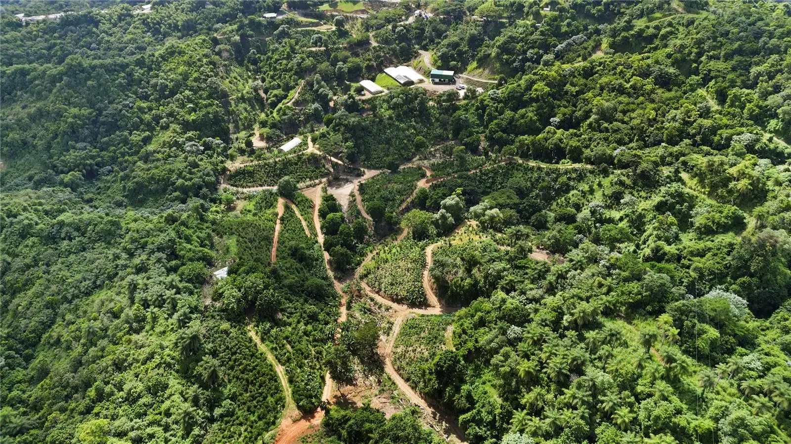 Bo. Hoyos Planes Carr. 531 Km Hm7, PR