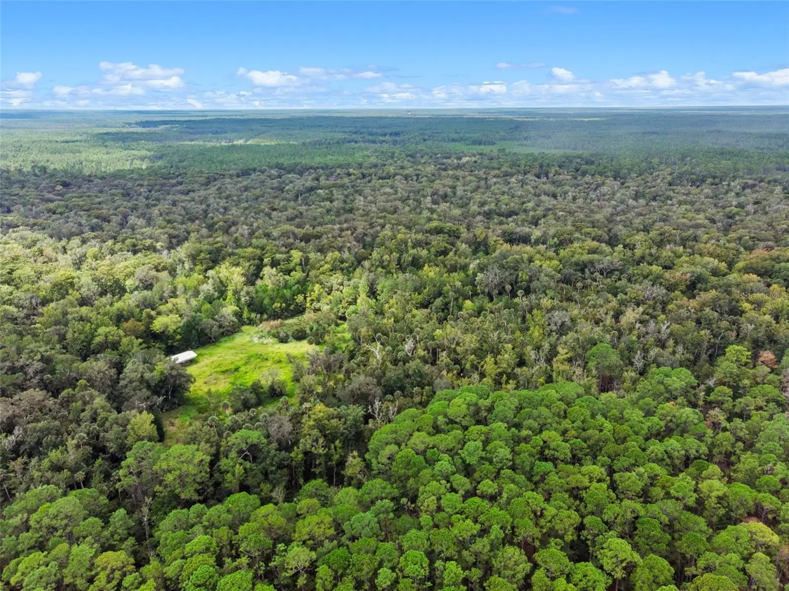 Nfs 73 / Alco Road, FL