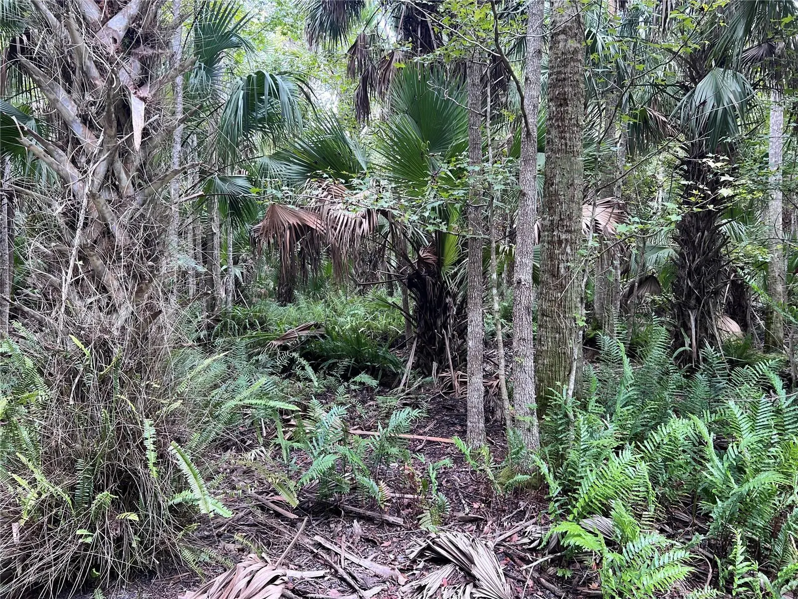 Nfs 73 / Alco Road, FL