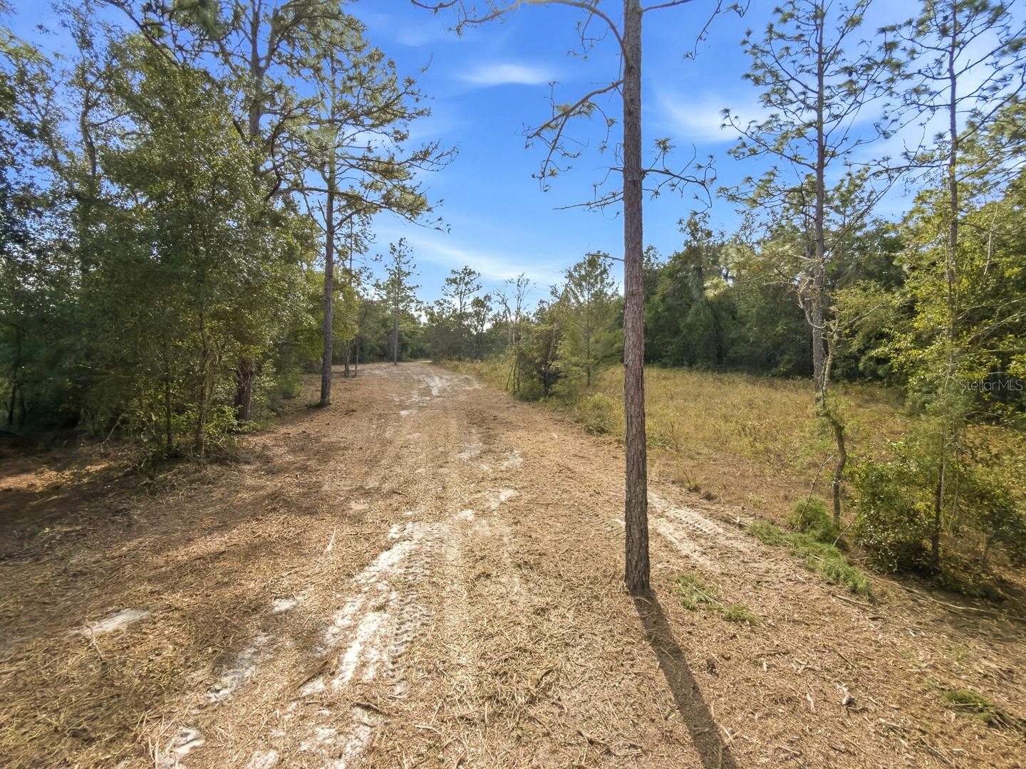 34095 Hyatt Rd, FL