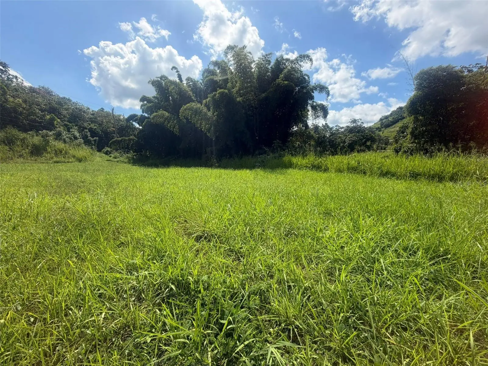 172, PR