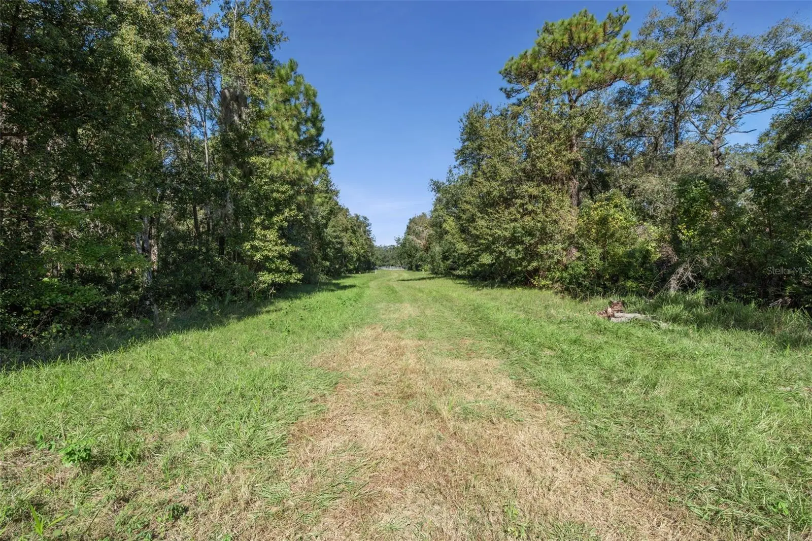 Faye Street, FL