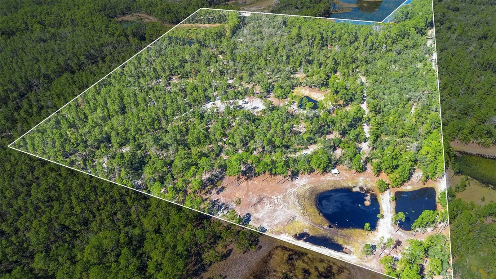 Deep Woods Road, FL