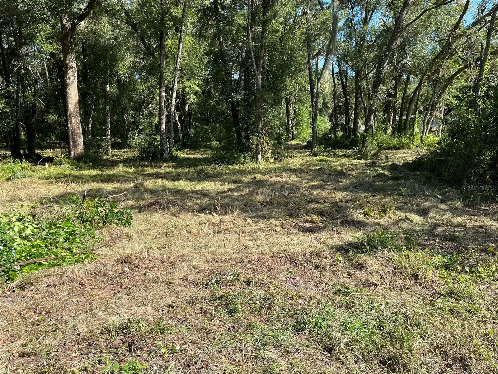 0 Sr 575, FL