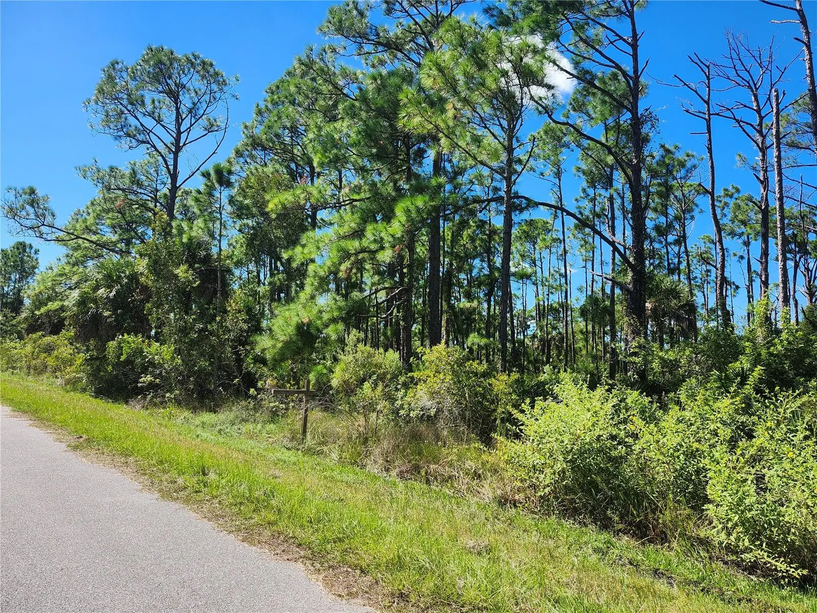 1021 Nautilus Terrace, FL
