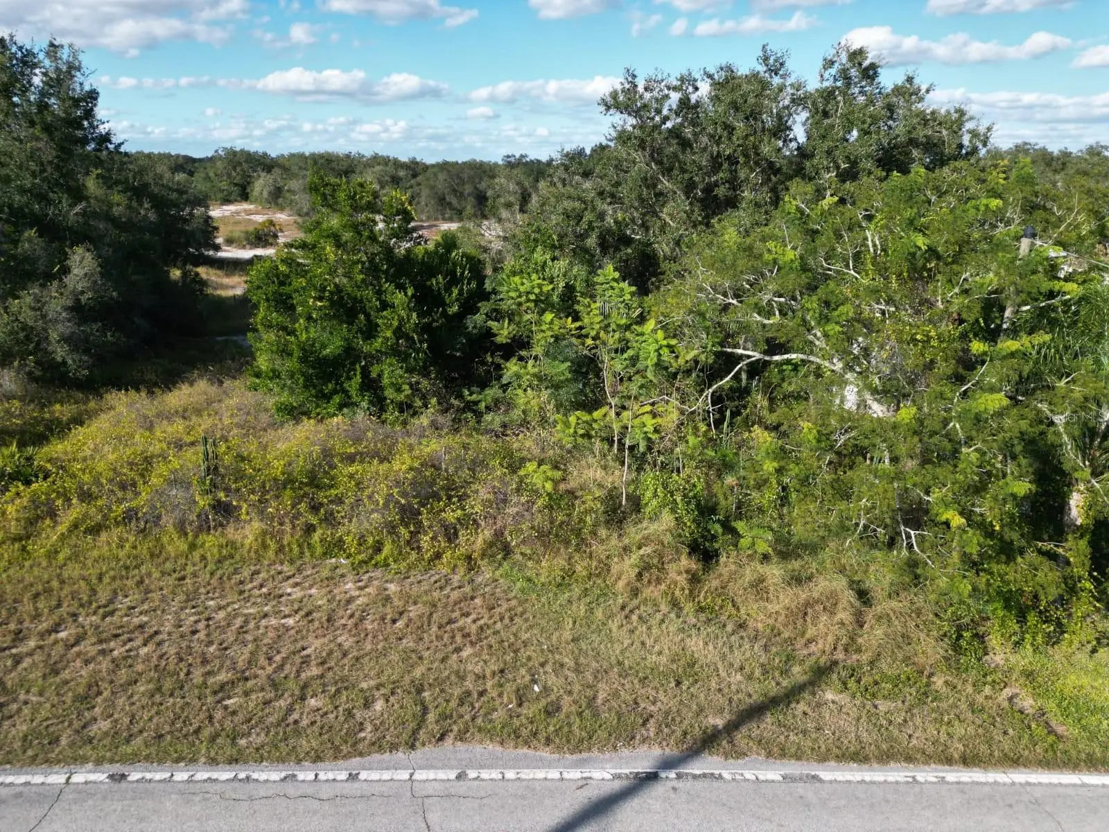 Libby Road, FL