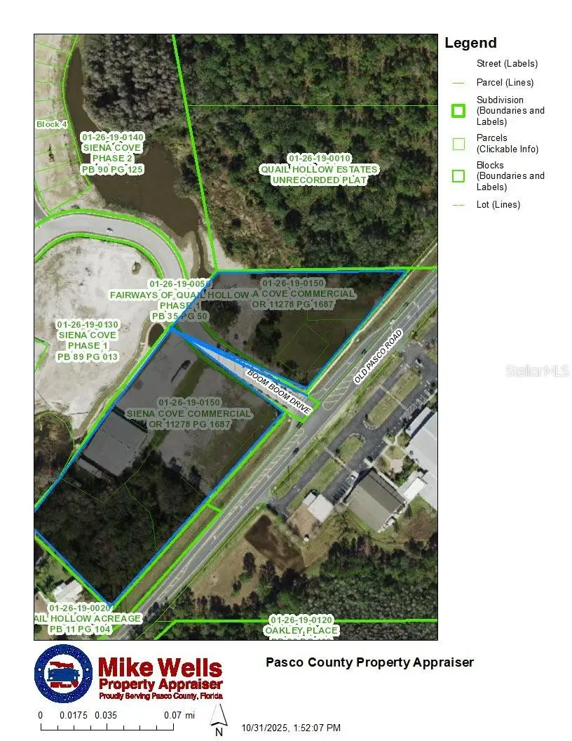 6243 Old Pasco Road, FL